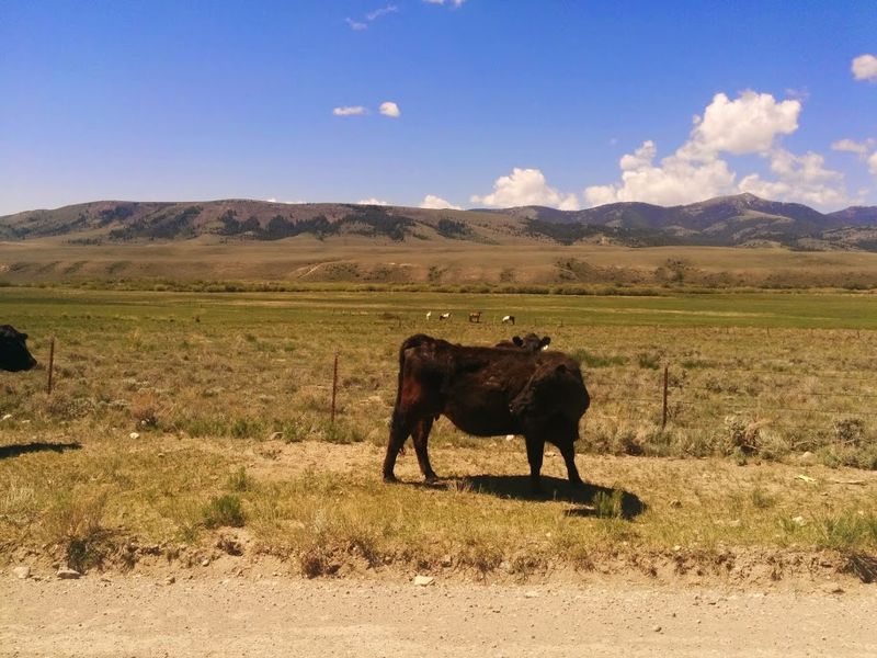 Illustration for article titled Overlanding in Southeast Idaho and Montana